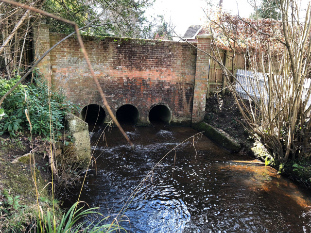 new forest project managers